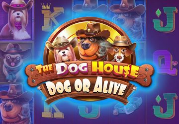 Игра The Dog House Dog Or Alive в TTR Casino